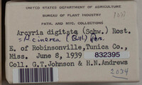 Image Associated With the Occurence